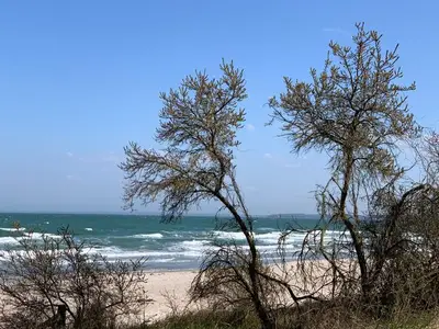 Ferienwohnung für 4 Personen (50 m²) in Scharbeutz 3/10