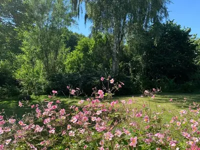 Ferienwohnung für 2 Personen (40 m²) in Scharbeutz 10/10