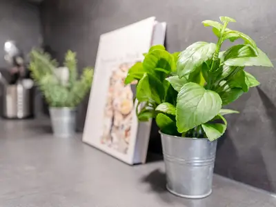 Ferienwohnung für 4 Personen (38 m²) in Scharbeutz 10/10