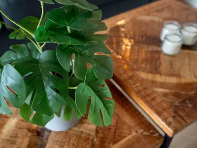 Ferienwohnung für 4 Personen (42 m²) in Scharbeutz 10/10