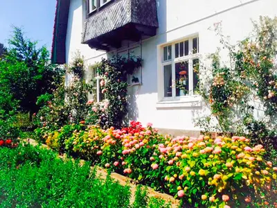 Ferienwohnung für 2 Personen (54 m²) in Klingenberg 9/10