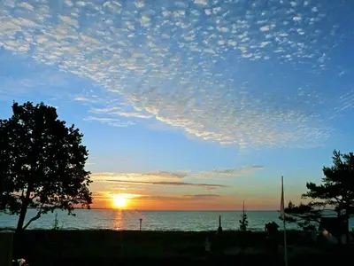 Ferienwohnung für 4 Personen (53 m²) in Scharbeutz 8/10
