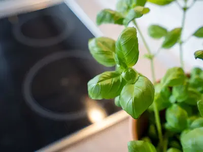 Ferienwohnung für 2 Personen (40 m²) in Scharbeutz 9/10