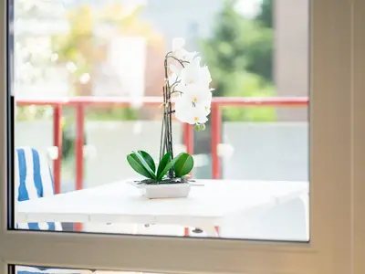 Ferienwohnung für 4 Personen (50 m²) in Scharbeutz 8/10