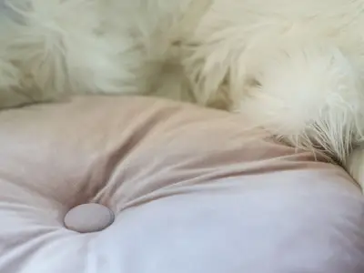 Ferienwohnung für 4 Personen (44 m²) in Scharbeutz 9/10