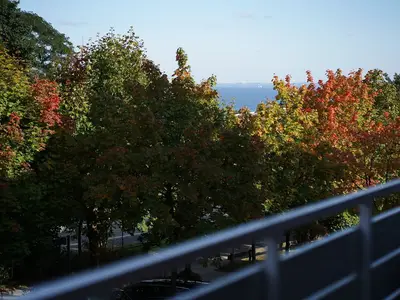 Ferienwohnung für 6 Personen (55 m²) in Scharbeutz 7/10