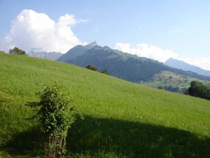 23052271-Ferienwohnung-4-Scharnachtal-300x225-3