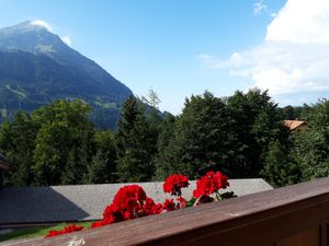 23052271-Ferienwohnung-4-Scharnachtal-300x225-4