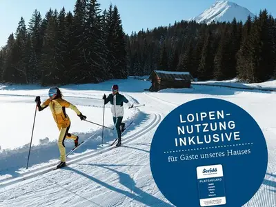 Ferienwohnung für 2 Personen (35 m²) in Scharnitz 5/10