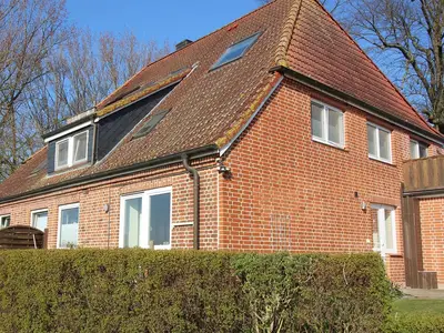 Ferienwohnung für 4 Personen (50 m²) in Bliesdorf 9/10