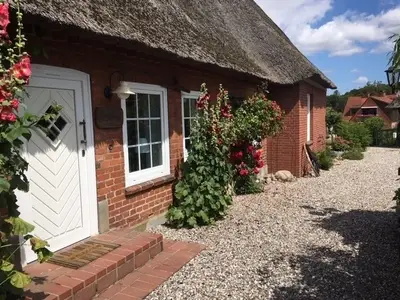 Ferienwohnung für 3 Personen (48 m²) in Schashagen 2/10