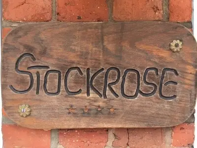 Ferienwohnung für 3 Personen (48 m²) in Schashagen 10/10