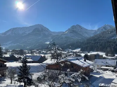 Ferienwohnung für 4 Personen (33 m²) in Schattwald 10/10