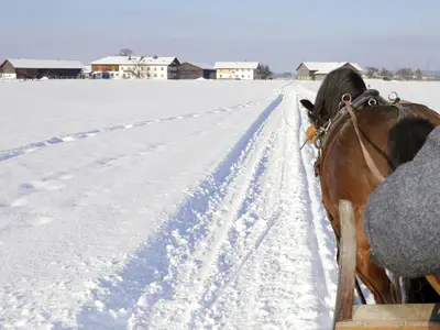 Schlittenfahrt zum Springerhof