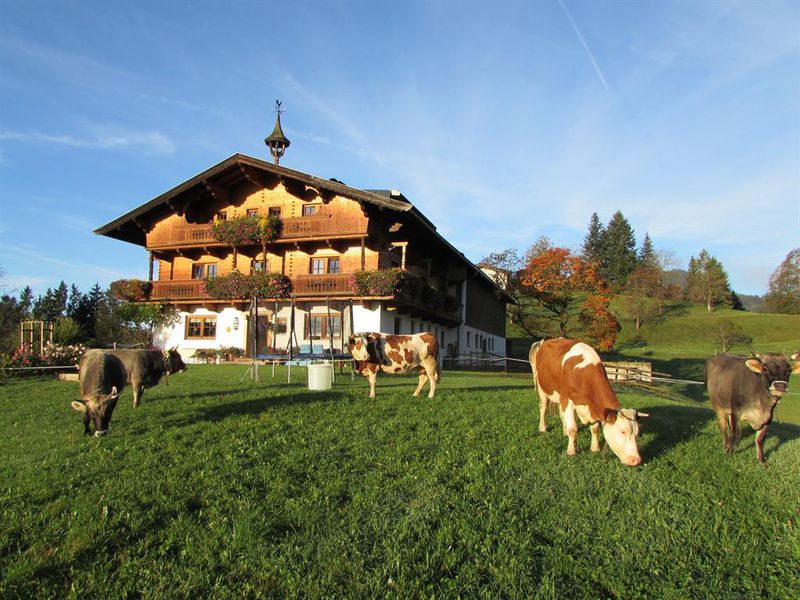1 Hirschbichlhof mit Kühen auf der Weide