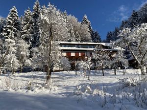 Ferienwohnung für 6 Personen (95 m²) in Scheffau am Wilden Kaiser