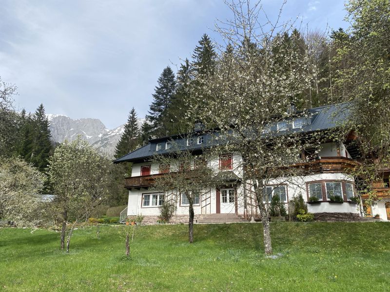 23496459-Ferienwohnung-2-Scheffau am Wilden Kaiser-800x600-1