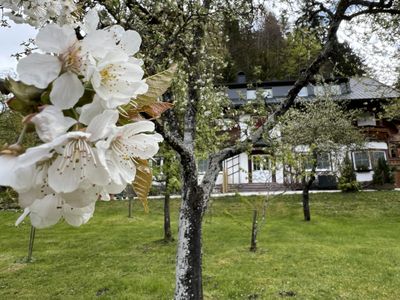 Beim Talschuster Frühling