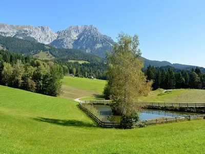 Teich