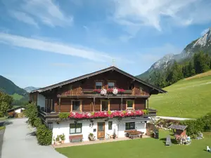 Ferienwohnung für 4 Personen (50 m²) in Scheffau