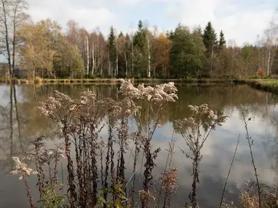 Ferienwohnung für 2 Personen (19 m²) in Scheibenberg 2/10