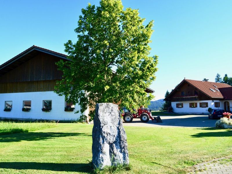 22243721-Ferienwohnung-6-Scheidegg-800x600-0