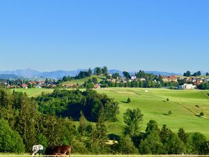 22219383-Ferienwohnung-6-Scheidegg-300x225-1