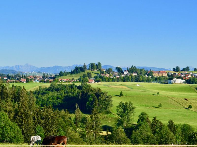 22238985-Ferienwohnung-6-Scheidegg-800x600-1