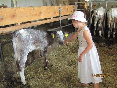 Landwirtschaft hautnah erleben