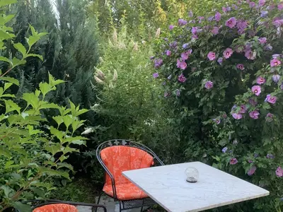 "AMBIENTE" - Sitzplatz im Garten