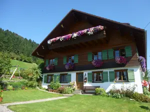 Ferienwohnung für 4 Personen (55 m²) in Scheidegg