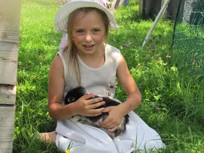 Die Hasen genießen die Streicheleinheiten