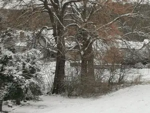Ferienwohnung für 8 Personen (120 m²) in Kerkwitz