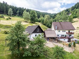 Ferienwohnung für 7 Personen (96 m&sup2;) in Schenkenzell