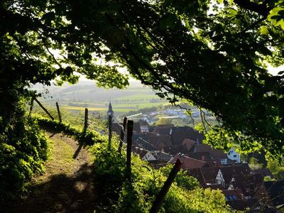 Ferienwohnung für 2 Personen (50 m²) in Schieder-Schwalenberg 8/10