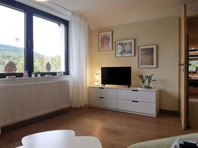 Ferienwohnung für 4 Personen (69 m²) in Schieder-Schwalenberg 8/10