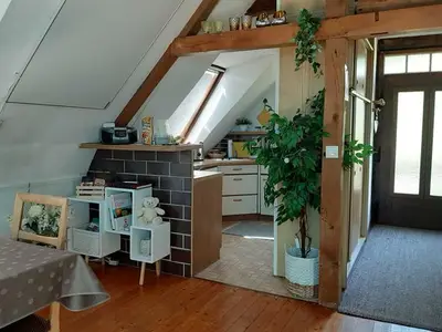 Ferienwohnung für 2 Personen (45 m²) in Schieder-Schwalenberg 6/10