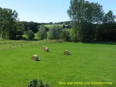 Ferienwohnung für 4 Personen (70 m²) in Schieder 8/10