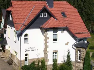 Ferienwohnung für 4 Personen (48 m²) in Schierke