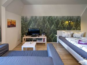 Ferienwohnung für 2 Personen (25 m²) in Schierke