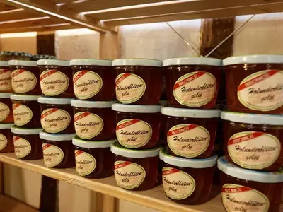 Ferienwohnung für 4 Personen (70 m²) in Schillsdorf 7/10