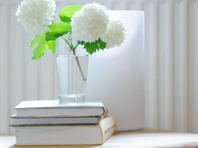 Kirschenholz_WHG_02_Kinderzimmer_06