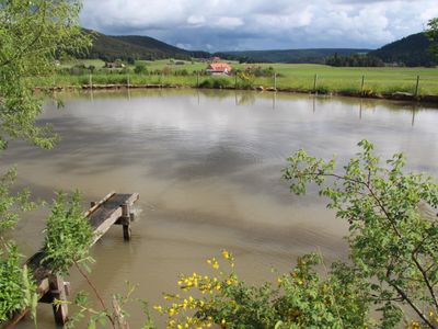 Fischweiher