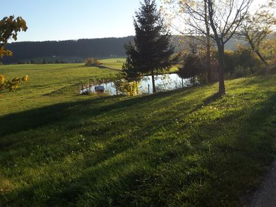 Fischerweiher