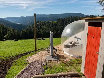 Bubble und Toilettenhaus