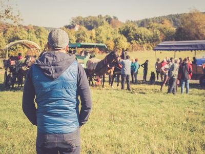 Ferienwohnung für 5 Personen (46 m²) in Schirgiswalde-Kirschau 3/10