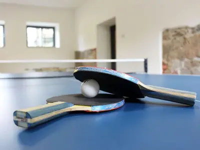 Ferienwohnung für 4 Personen (43 m²) in Schirgiswalde 4/10