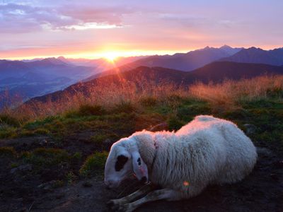 Sonnenaufgang auf der Gasselhöhe - Reiteralm