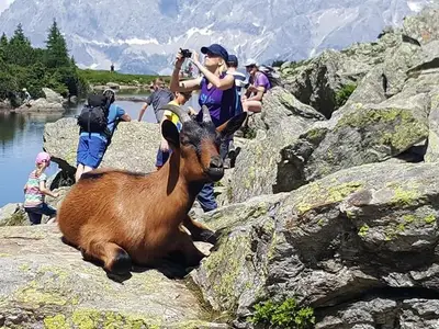 Ferienwohnung für 5 Personen (60 m²) in Schladming 3/10