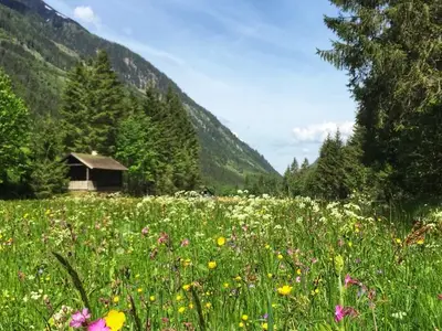 Ferienwohnung für 3 Personen (42 m²) in Schladming 10/10